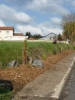 Un talus de plantation