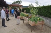 Au jardin partagé