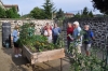 Découverte du jardin...