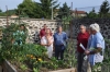 Visite du jardin partagé