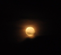 soirée sous la lune