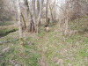 En milieu tranquille
