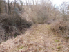 parcours au milieu de...