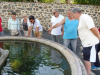 Autour de la fontaine...