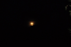 Soirée pleine lune