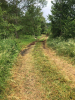 Chemin en bordure du...