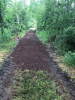 Chemin aménagé