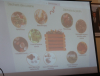 Composition du compostage