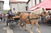 Les promenades en calèche